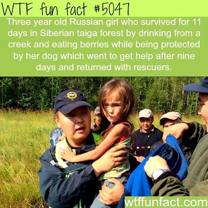 This Instagram Account Collects Mind-Boggling Facts About Our World And Here Are 50 Of The Wildest Ones