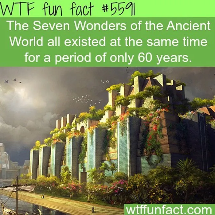 This Instagram Account Collects Mind-Boggling Facts About Our World And Here Are 50 Of The Wildest Ones