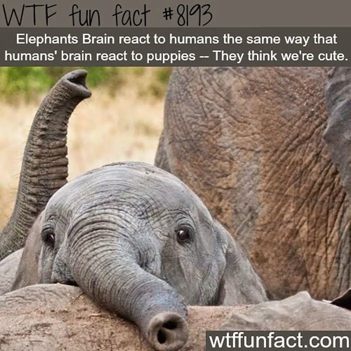 This Instagram Account Collects Mind-Boggling Facts About Our World And Here Are 50 Of The Wildest Ones