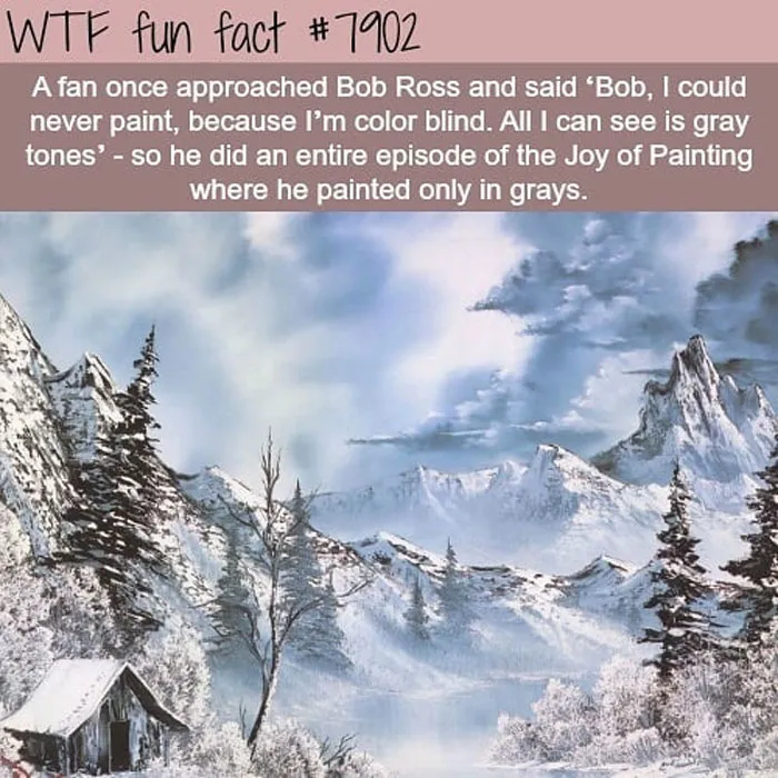 This Instagram Account Collects Mind-Boggling Facts About Our World And Here Are 50 Of The Wildest Ones