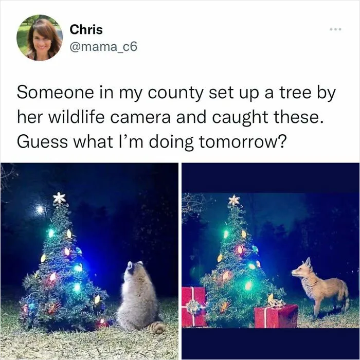 "The King Of Wholesome Memes": 50 Of The Best Memes Posted By This Instagram Account