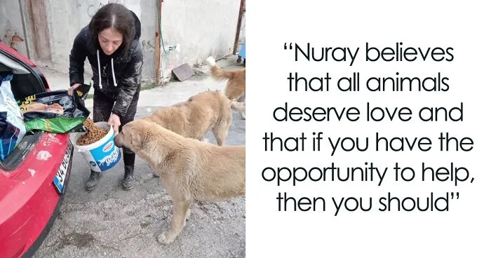 Almost Every Day After Work, This Woman Drives Up The Hills Of Sapanca In Turkey To Take Care Of Neglected Dogs There