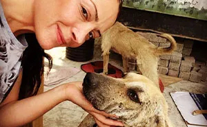 Almost Every Day After Work, This Woman Drives Up The Hills Of Sapanca In Turkey To Take Care Of Neglected Dogs There