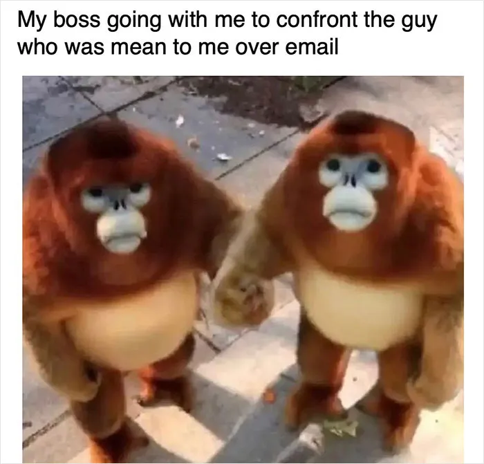 This Instagram Page Is Dedicated To Mocking The Monotony Of Working In An Office And Here Are 41 Of The Best Memes It Posted