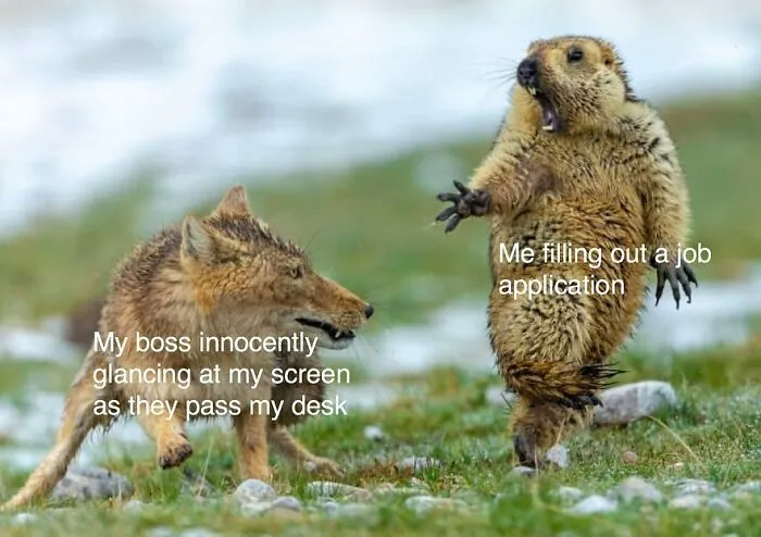 This Instagram Page Is Dedicated To Mocking The Monotony Of Working In An Office And Here Are 41 Of The Best Memes It Posted