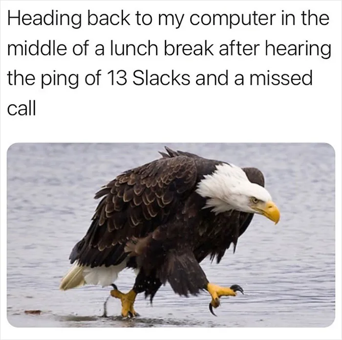 This Instagram Page Is Dedicated To Mocking The Monotony Of Working In An Office And Here Are 41 Of The Best Memes It Posted
