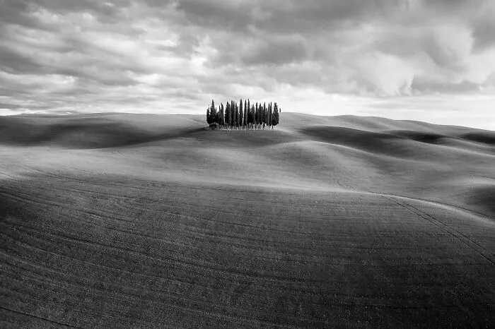 Arte de la naturaleza, oro: Federico Testi, Italia