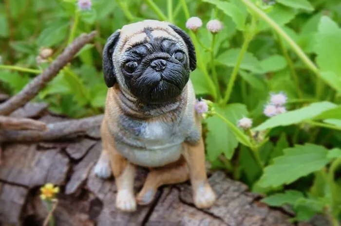 Here’s My Collection Of 31 Dog Sculptures That I Made From Polymer Clay