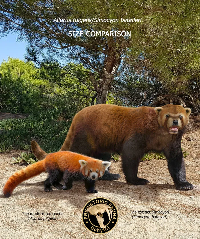 26 New Comparisons Of The Sizes Of Prehistoric Animal Ancestors And Their Modern Relatives By Roman Uchytel