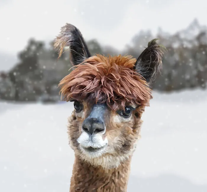 Animals, Wildlife And Nature Illustrations (9 Pics)