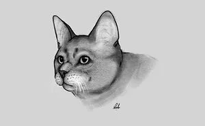 Artist Pandas, Share Your Most Recent Artwork
