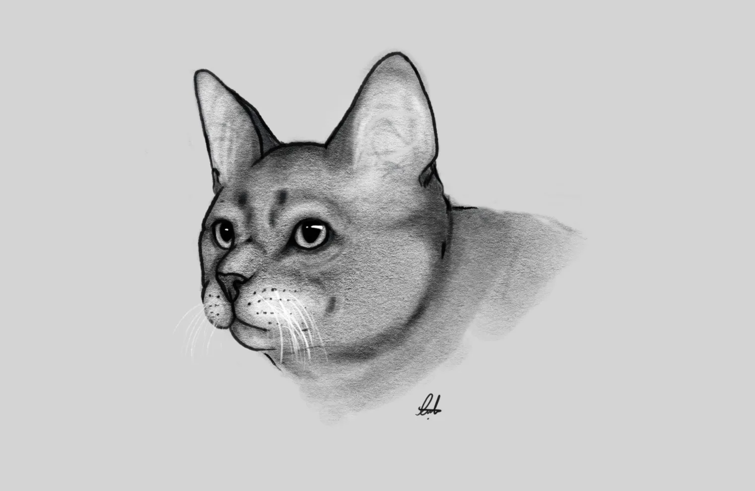 Artist Pandas, Share Your Most Recent Artwork