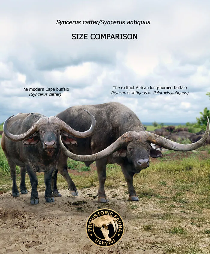 Artist Continues To Make Comparisons Between The Sizes Of Prehistoric Animals And Their Modern Relatives (20 New Pics)