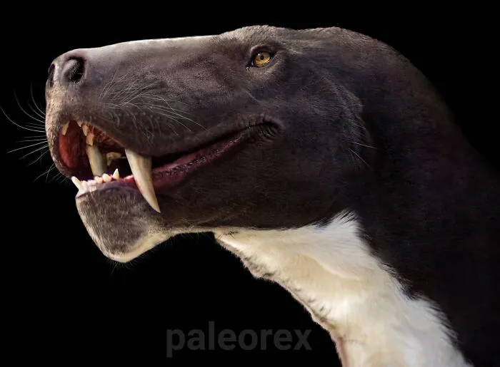 Inostrancevia