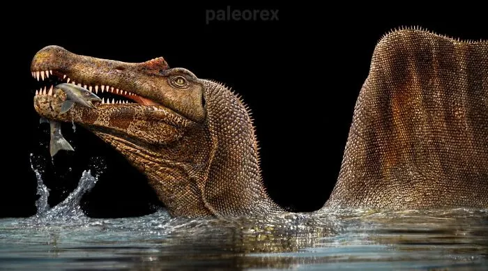 Spinosaurus cazando