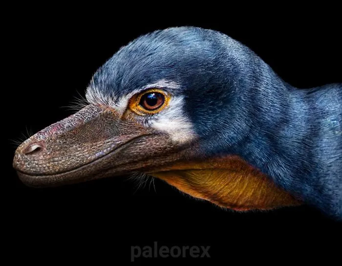 Stenonychosaurus