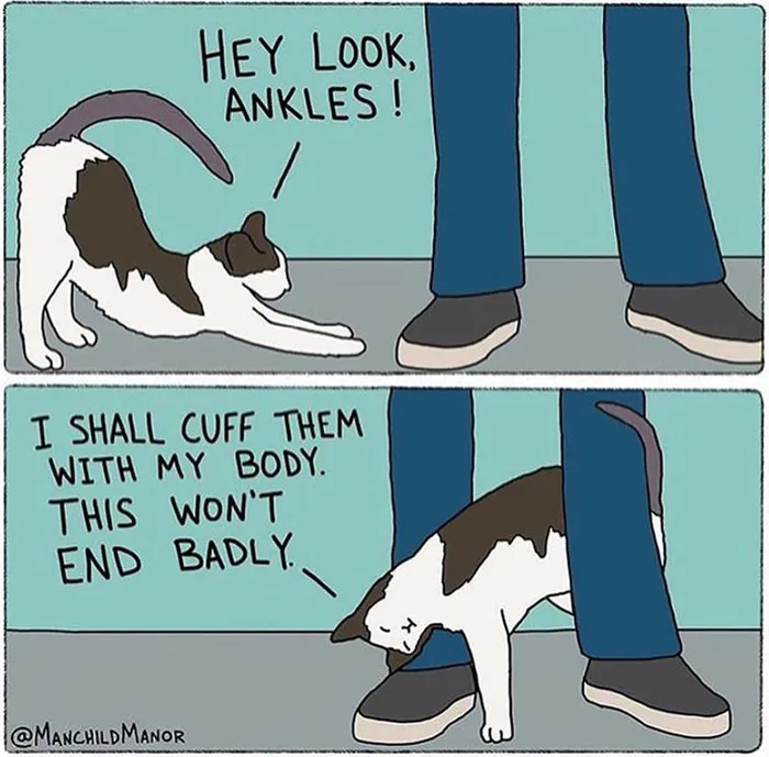 50 Funny Comics Inspired By Little Observations Of Everyday People By Tim Thavirat