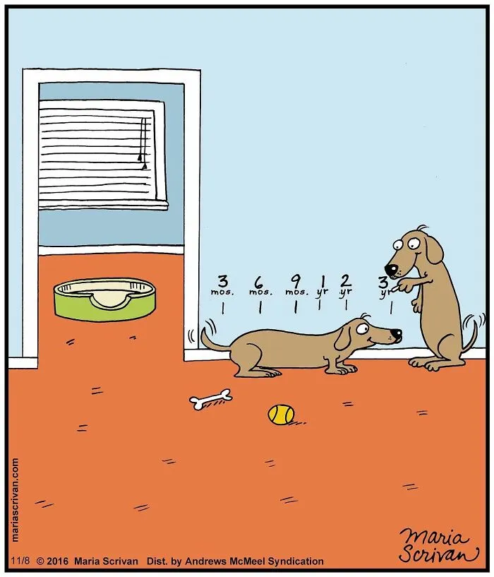 30 Absurd Humor Comics By Maria Scrivan (New Pics)