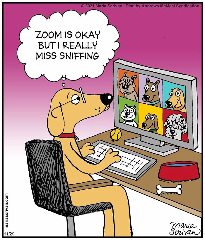 30 Absurd Humor Comics By Maria Scrivan (New Pics)