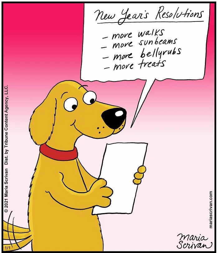 30 Absurd Humor Comics By Maria Scrivan (New Pics)