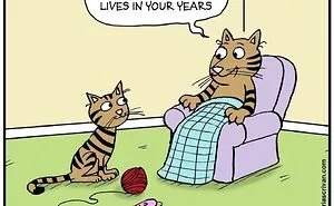 30 Absurd Humor Comics By Maria Scrivan (New Pics)