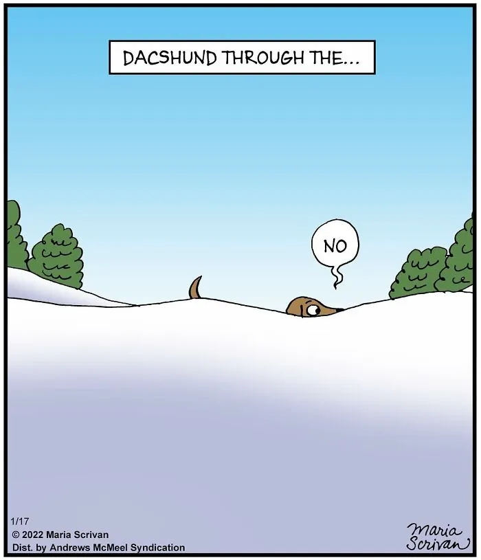 30 Absurd Humor Comics By Maria Scrivan (New Pics)