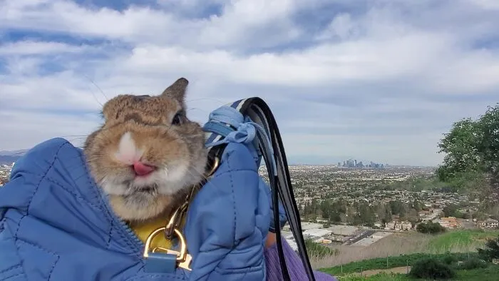 Me encanta ir de excursión, déjame tomar un poco de aire