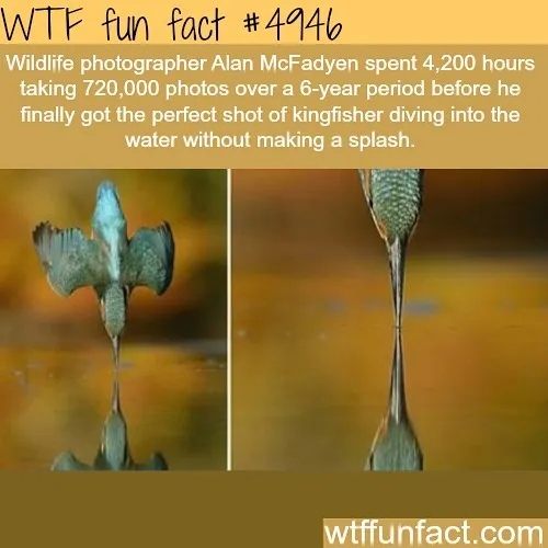 This Instagram Account Collects Mind-Boggling Facts About Our World And Here Are 50 Of The Wildest Ones
