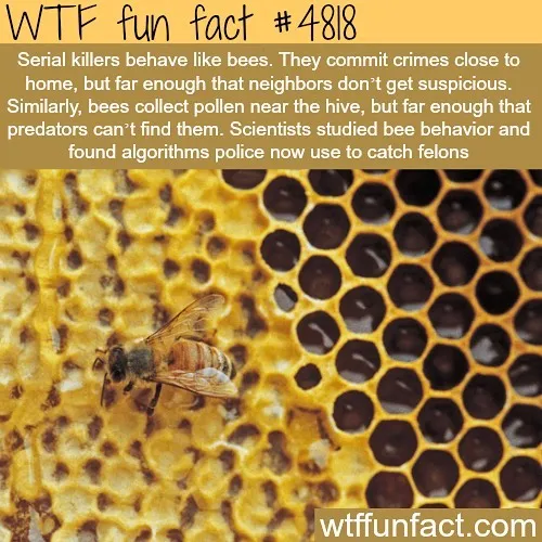 This Instagram Account Collects Mind-Boggling Facts About Our World And Here Are 50 Of The Wildest Ones