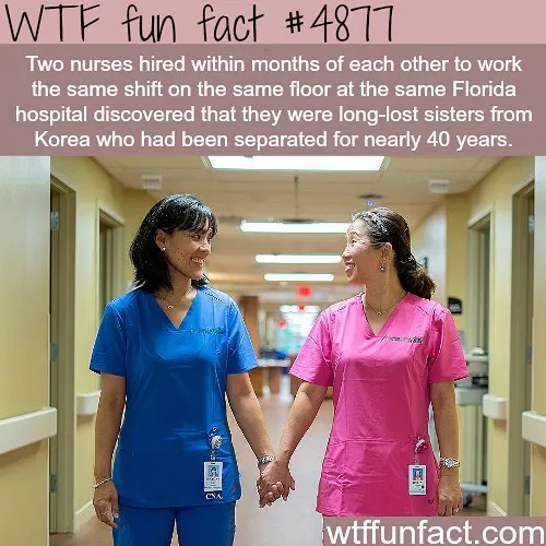 This Instagram Account Collects Mind-Boggling Facts About Our World And Here Are 50 Of The Wildest Ones