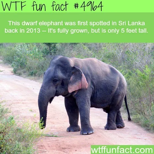 This Instagram Account Collects Mind-Boggling Facts About Our World And Here Are 50 Of The Wildest Ones