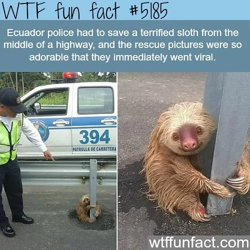 This Instagram Account Collects Mind-Boggling Facts About Our World And Here Are 50 Of The Wildest Ones