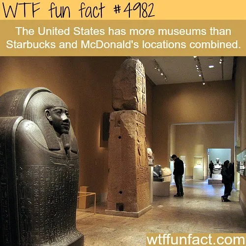 This Instagram Account Collects Mind-Boggling Facts About Our World And Here Are 50 Of The Wildest Ones