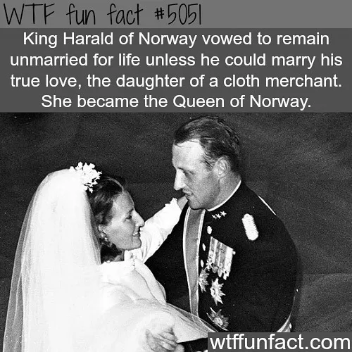 This Instagram Account Collects Mind-Boggling Facts About Our World And Here Are 50 Of The Wildest Ones