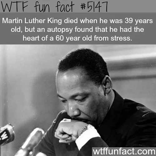 This Instagram Account Collects Mind-Boggling Facts About Our World And Here Are 50 Of The Wildest Ones