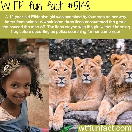 This Instagram Account Collects Mind-Boggling Facts About Our World And Here Are 50 Of The Wildest Ones