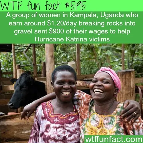 This Instagram Account Collects Mind-Boggling Facts About Our World And Here Are 50 Of The Wildest Ones