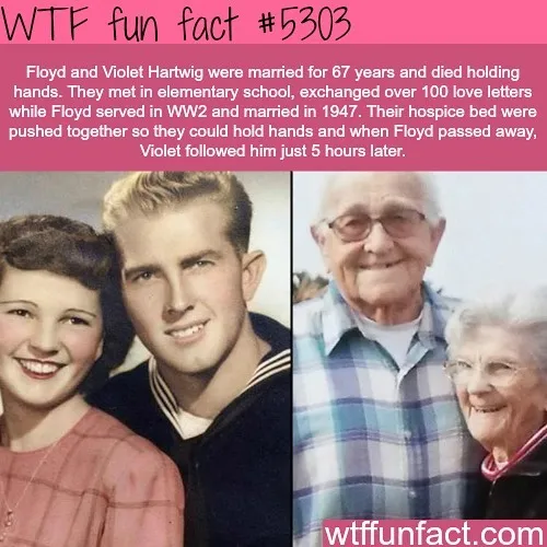 This Instagram Account Collects Mind-Boggling Facts About Our World And Here Are 50 Of The Wildest Ones