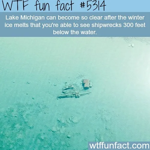 This Instagram Account Collects Mind-Boggling Facts About Our World And Here Are 50 Of The Wildest Ones