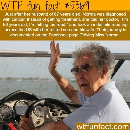 This Instagram Account Collects Mind-Boggling Facts About Our World And Here Are 50 Of The Wildest Ones