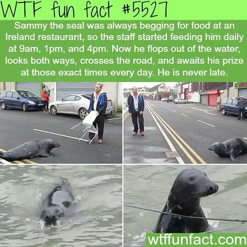 This Instagram Account Collects Mind-Boggling Facts About Our World And Here Are 50 Of The Wildest Ones
