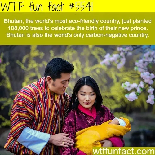 This Instagram Account Collects Mind-Boggling Facts About Our World And Here Are 50 Of The Wildest Ones