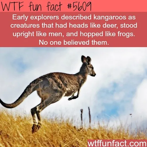 This Instagram Account Collects Mind-Boggling Facts About Our World And Here Are 50 Of The Wildest Ones