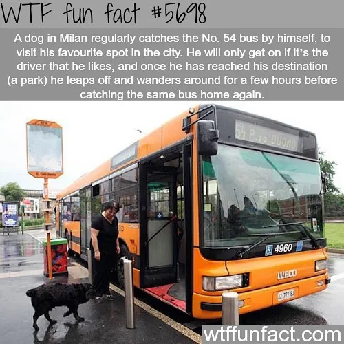 This Instagram Account Collects Mind-Boggling Facts About Our World And Here Are 50 Of The Wildest Ones