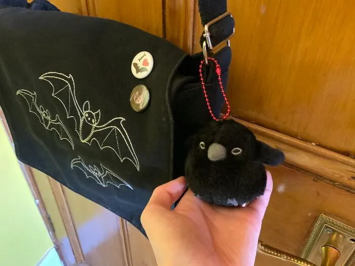 A Little Raven, I Named Him Quoth! 😂