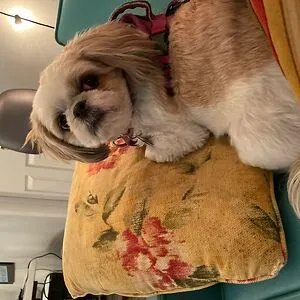 Fiona
