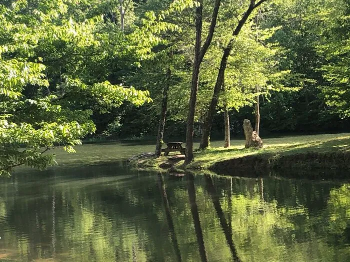At A Park I Went To