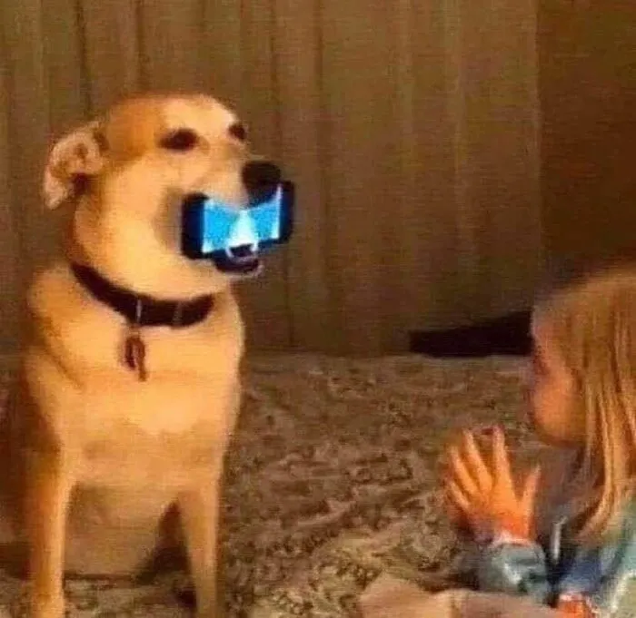50 Divertidas fotos de animales que son imposibles de explicar, compartidas en esta cuenta de Instagram