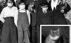 "Lost In History": 50 Pictures That Shed A New Light On Our Past