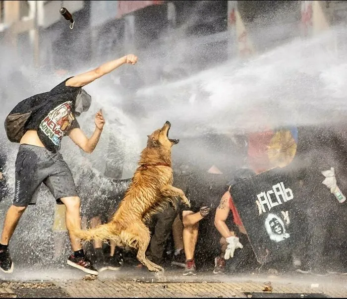 Esta página de Instagram está dedicada a la historia de la "gente corriente" y aquí tienes 16 de las mejores fotos
